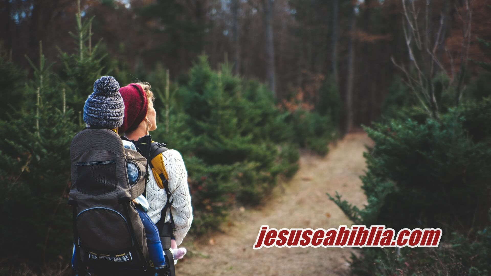 Ana Mãe De Samuel e Suas 8 VIRTUDES | Jesus e a Bíblia