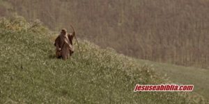 Parábola da Ovelha Perdida