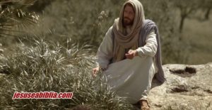 Parábola de Lázaro e o Rico