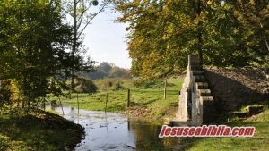 Oração do Dia - Estudos Bíblicos