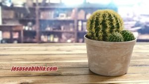 Estudo Bíblico Sobre Espinho na Carne