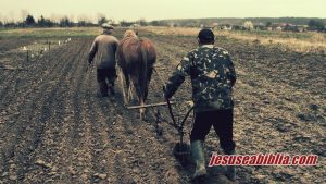 Estudo Bíblico Sobre Jugo Desigual