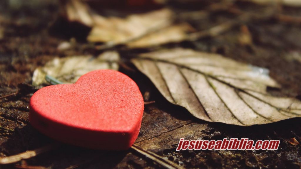 33 Versículos Bíblicos de Amor Sobre: Casamento, o Próximo e Deus