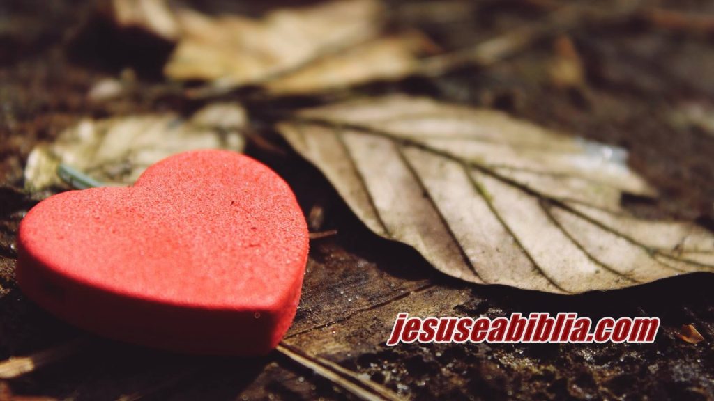 34 Versículos Bíblicos Sobre Gratidão a Deus