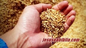 Parábola do Semeador - Bíblia de Estudo Online