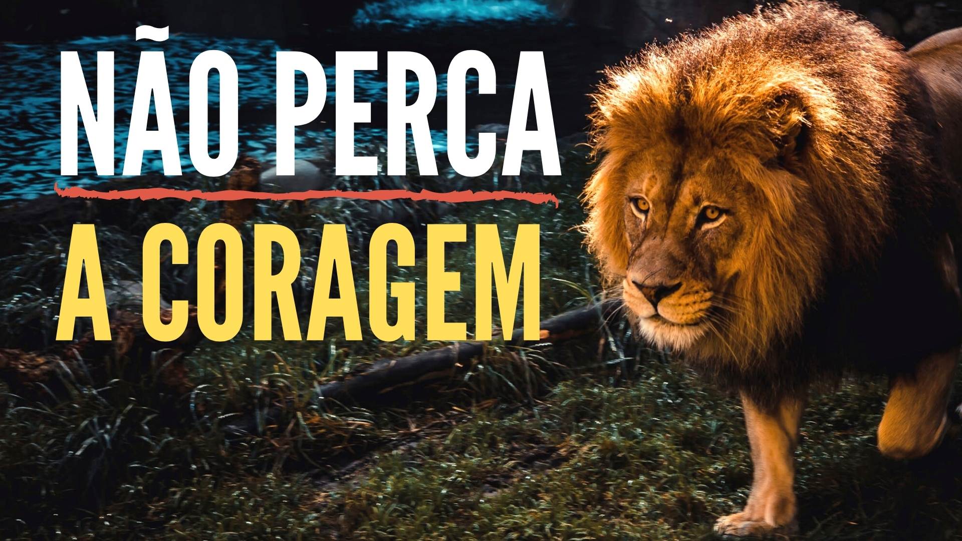 Não Perca a Coragem - DEUS É CONOSCO