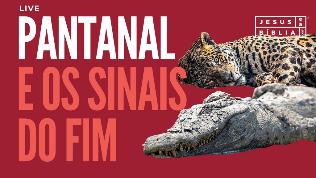 Pantanal em Chamas e os Sinais do Fim