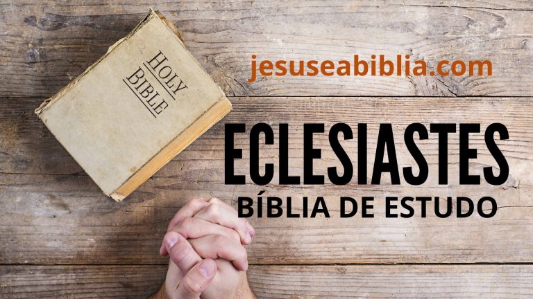 Bíblia De Estudo Online Evangélica | Jesus E A Bíblia