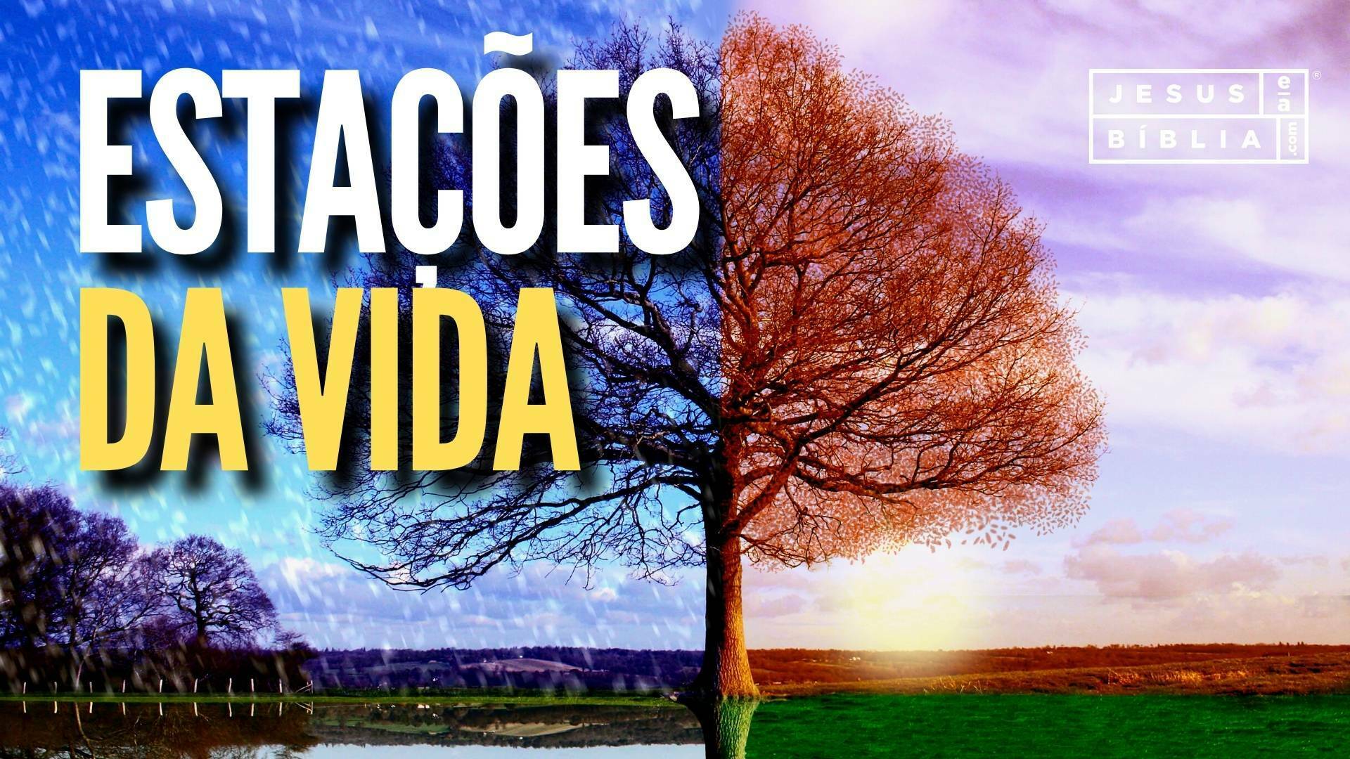 RESPEITE AS ESTAÇÕES DA VIDA