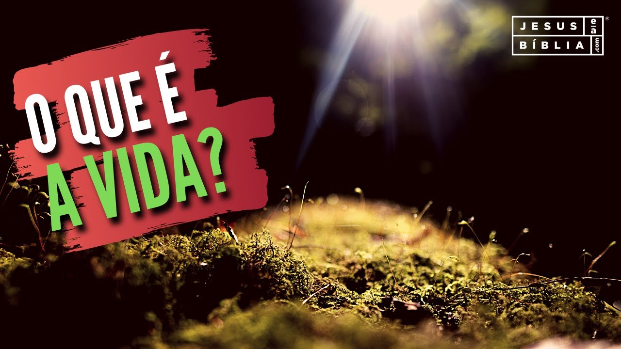 qual o sentido da vida