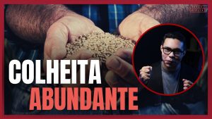 O SEGREDO DA SEMEADURA COM RESULTADOS